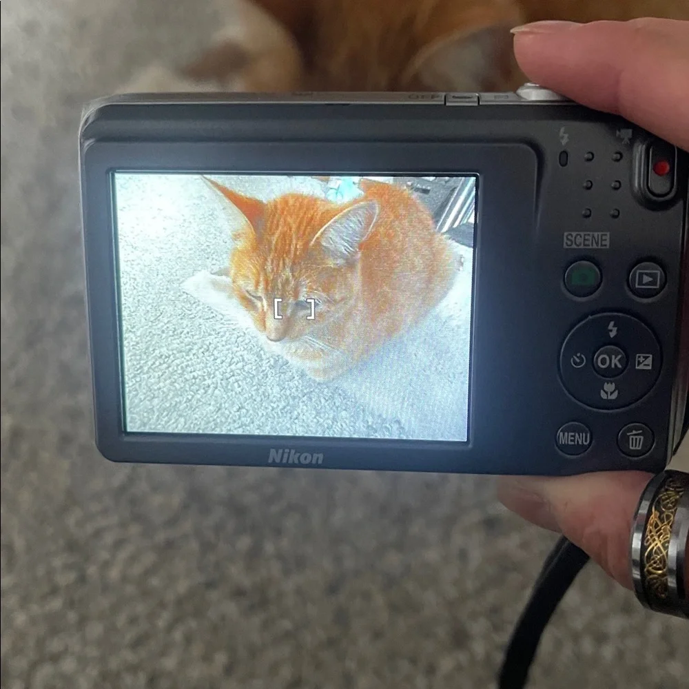 Nikon COOLPIX S3700 Digital Camera